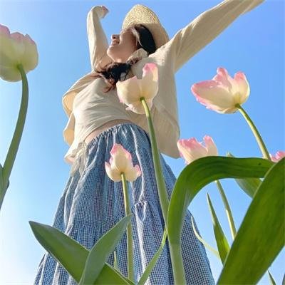 血界战线第二季