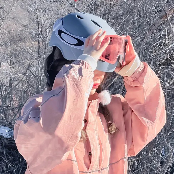 宠物当家2